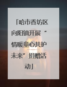 哈市香坊区向阳镇开展“情暖童心共护未来”捐赠活动