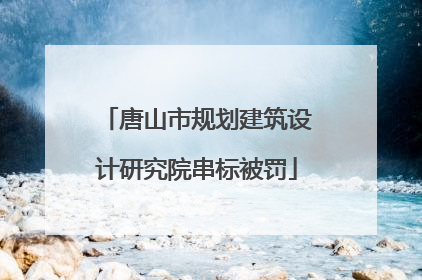 唐山市规划建筑设计研究院串标被罚