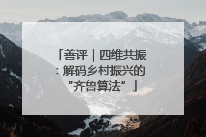 善评｜四维共振：解码乡村振兴的“齐鲁算法”