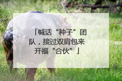 喊话“种子”团队，接过双肩包来开福“合伙”