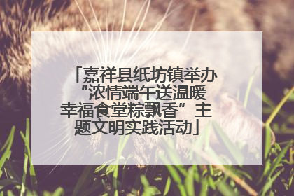 嘉祥县纸坊镇举办“浓情端午送温暖 幸福食堂粽飘香”主题文明实践活动