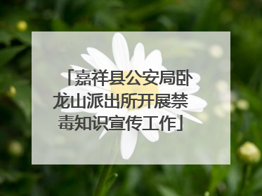 嘉祥县公安局卧龙山派出所开展禁毒知识宣传工作