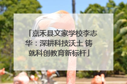 嘉禾县文家学校李志华：深耕科技沃土 铸就科创教育新标杆