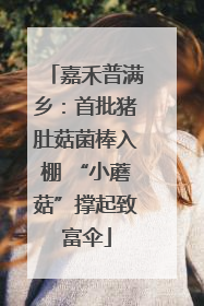 嘉禾普满乡：首批猪肚菇菌棒入棚 “小蘑菇”撑起致富伞