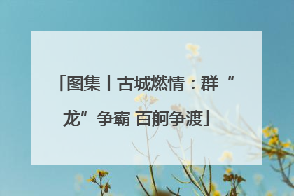 图集丨古城燃情：群“龙”争霸 百舸争渡