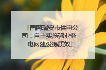 国网瑞安市供电公司：自主实施强业务 电网建设提质效