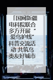 国网新疆电科院联合多方开展“爱鸟护线”科普交流活动 共筑鸟类友好城市