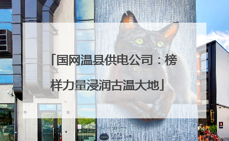 国网温县供电公司：榜样力量浸润古温大地