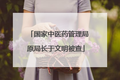 国家中医药管理局原局长于文明被查