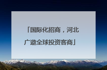 国际化招商，河北广邀全球投资客商