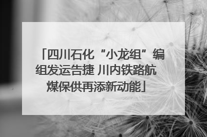 四川石化“小龙组”编组发运告捷 川内铁路航煤保供再添新动能