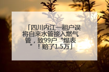 四川内江一租户误将自来水管接入燃气管，致99户“爆表”！赔了1.5万