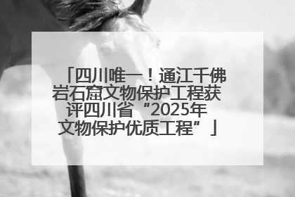 四川唯一！通江千佛岩石窟文物保护工程获评四川省“2025年文物保护优质工程”