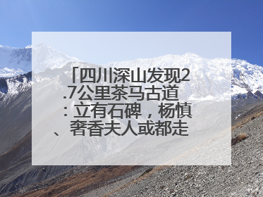 四川深山发现2.7公里茶马古道：立有石碑，杨慎、奢香夫人或都走过这条路