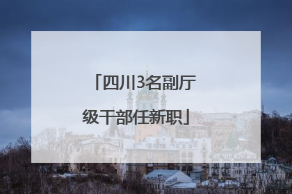 四川3名副厅级干部任新职