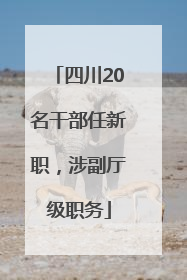 四川20名干部任新职，涉副厅级职务