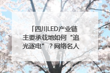四川LED产业链主要承载地如何“追光逐电”？网络名人走进攀枝花找答案｜网络名人四川行