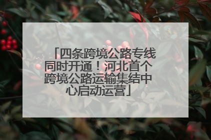 四条跨境公路专线同时开通！河北首个跨境公路运输集结中心启动运营