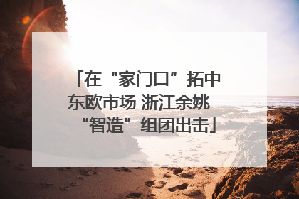 在“家门口”拓中东欧市场 浙江余姚“智造”组团出击