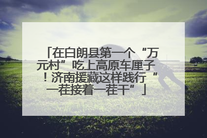 在白朗县第一个“万元村”吃上高原车厘子！济南援藏这样践行“一茬接着一茬干”