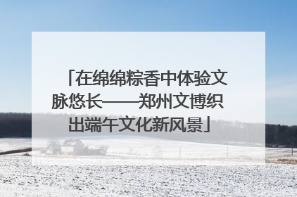在绵绵粽香中体验文脉悠长——郑州文博织出端午文化新风景