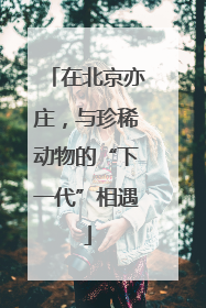 在北京亦庄，与珍稀动物的“下一代”相遇