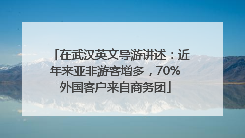 在武汉英文导游讲述：近年来亚非游客增多，70%外国客户来自商务团