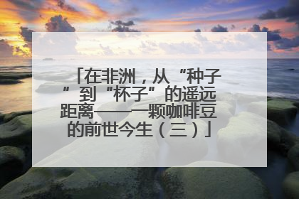 在非洲，从“种子”到“杯子”的遥远距离——一颗咖啡豆的前世今生（三）