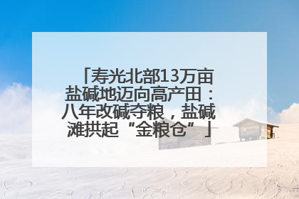 寿光北部13万亩盐碱地迈向高产田：八年改碱夺粮，盐碱滩拱起“金粮仓”