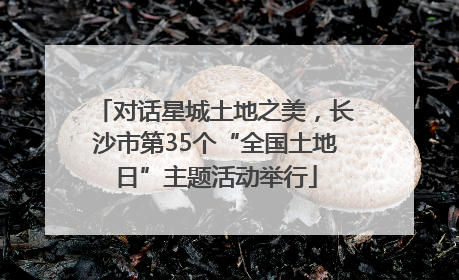 对话星城土地之美，长沙市第35个“全国土地日”主题活动举行