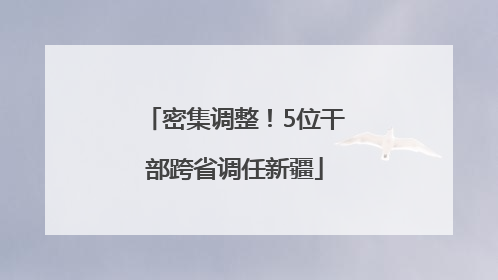 密集调整！5位干部跨省调任新疆