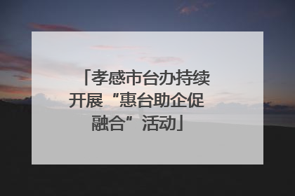 孝感市台办持续开展“惠台助企促融合”活动