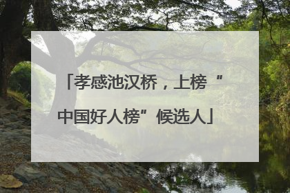 孝感池汉桥，上榜“中国好人榜”候选人