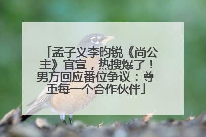 孟子义李昀锐《尚公主》官宣，热搜爆了！男方回应番位争议：尊重每一个合作伙伴