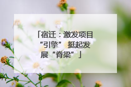 宿迁:激发项目“引擎” 挺起发展“脊梁”