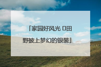 家园好风光 ⎮田野披上梦幻的银装
