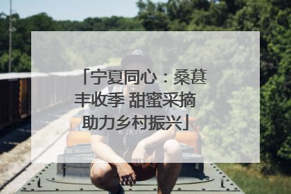 宁夏同心：桑葚丰收季 甜蜜采摘助力乡村振兴
