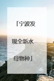 宁波发现全新水母物种