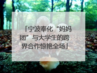 宁波奉化“妈妈团”与大学生的跨界合作惊艳全场