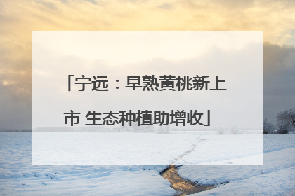 宁远：早熟黄桃新上市 生态种植助增收
