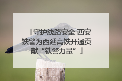 守护线路安全 西安铁警为西延高铁开通贡献“铁警力量”