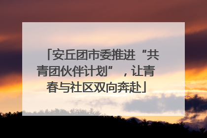 安丘团市委推进“共青团伙伴计划”，让青春与社区双向奔赴
