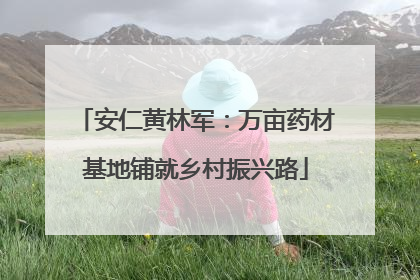 安仁黄林军：万亩药材基地铺就乡村振兴路