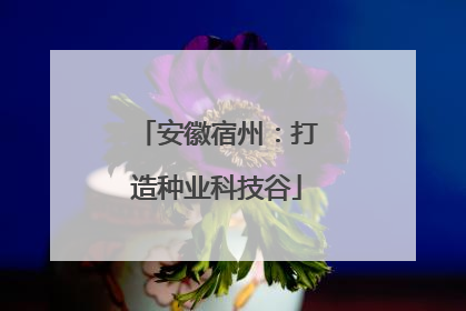 安徽宿州：打造种业科技谷
