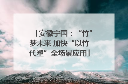 安徽宁国：“竹”梦未来 加快“以竹代塑”全场景应用