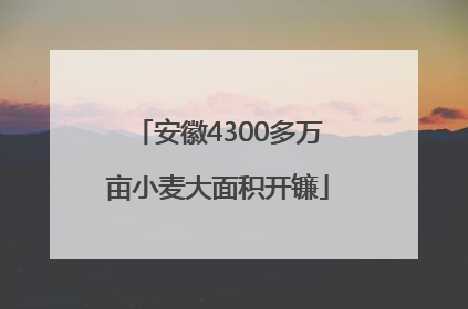 安徽4300多万亩小麦大面积开镰