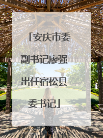 安庆市委副书记廖强出任宿松县委书记