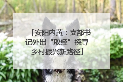 安阳内黄：支部书记外出“取经”探寻乡村振兴新路径