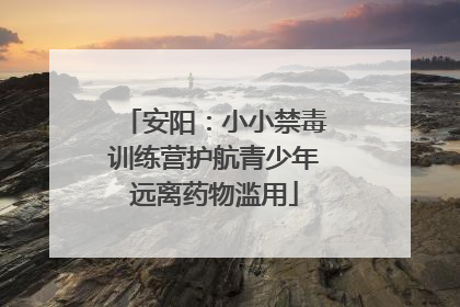 安阳：小小禁毒训练营护航青少年远离药物滥用