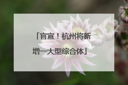 官宣！杭州将新增一大型综合体
